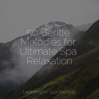 Counting Sheep - Best Kids Songs & Deep Sleep Relaxation & Entspannungsmusik Oase