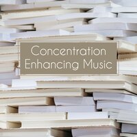Solar Awakening and Birds Sounds - Reading and Studying Music, Study Music Guys, Focus Music Control & Reading and Studying Music & Study Music Guys & Focus Music Control