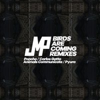 Birds Are Coming - Poncho Remix - DJ JMP & Poncho