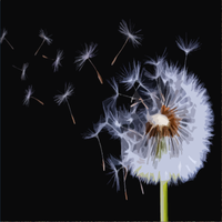 Wind and the Rain - White Noise Alternative & Soothing White Noise For Infant Sleeping And Massage & Soothing White Noise for Sleeping Babies & White Noise Alternatives & White Calming Noise for Babies & Soothing White Noise