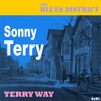 Wine Headed Woman - Sonny Terry