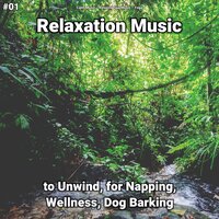 Relaxation Music, Pt. 42 - Calm music & Relaxing Spa Music & Yoga
