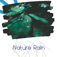 The Wind and Rain Knocking Against the Bedroom Window - Sleep & Rain & ASMR Rain Channel & Rain Therapy & Nature Sounds