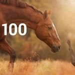 Топ 100 Muzmo июнь 2016