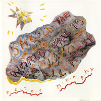 Final Solution - Peter Murphy
