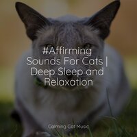 Yoga Relaxation - Cats Music Zone & Calm Music for Cats & Jazz Music Therapy for Cats