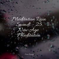 Window Rains - Meditação Maestro & Meditation Rain Sounds & Water Spa
