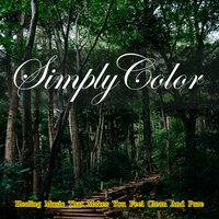 Serene Mindful Haven - Simply Color