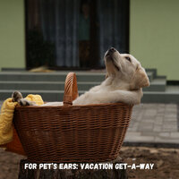 Meditative State - Sleepy Dogs & Dogs music & Cat Music