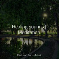 Bridge Over Clouds - Tinnitus & Brain Study Music Guys & Massage Therapy Music