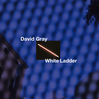What on Earth - David Gray