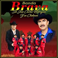 Mi Equipo Élite - Banda Brava