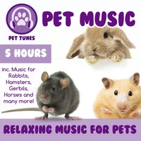 Relaxing Reptile Music - PetTunes