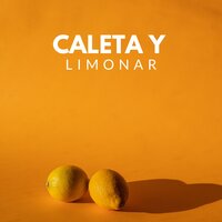 El alma de la copla/En este arroyo se (Fandangos) - Guerrita