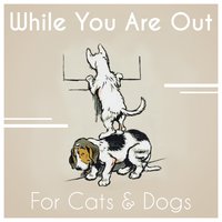 Soothe Your Pet Now - Pet Relax Academy