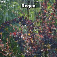 Regen, pt. 8 - Gerold Erns & Rain Sounds & Nature Sounds