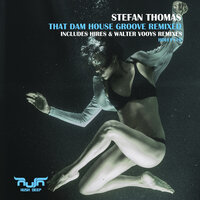 That Dam House Groove - Stefan Thomas & Hires