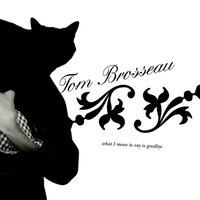 Quiet Drink - Tom Brosseau