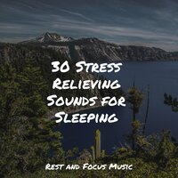 Beach House Zen - Meditation Awareness & Kinderlieder-Superstar & Regengeräusche