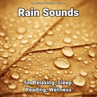 Rain Sounds to Sleep To - Nature Sounds & Rain Sounds & Regengeräusche