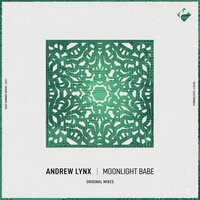 Mgnovenie - Andrew Lynx