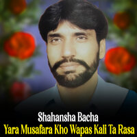 Khkule Safa Khabara Na Kri - Shahansha Bacha