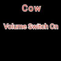 Sugar Hill - Cow