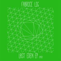 Music Is Emotion - Fabrice Lig