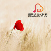 团结就是力量 - 李乐萱