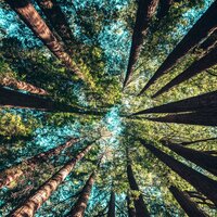 Oceans Tomorrow - Sleep Waves & Namaste Healing Yoga & Rain