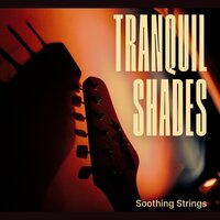 Soft Pluck - Soothing Strings