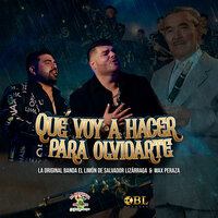 Qué Voy A Hacer Para Olvidarte - La Original Banda El Limón de Salvador Lizárraga & Max Peraza