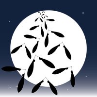 Luna - TSUKI