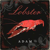 Feel It - Adam & Steve Harris & Jon Harris