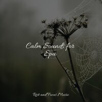 Slow Snooze - Meditação Maestro & Native American Flute & Spa & Spa