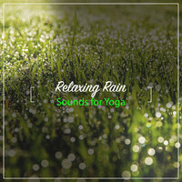 Concentration Noise - Rainforest, Sounds Of Nature : Thunderstorm, Rain, Rain & Sounds Of Nature : Thunderstorm, Rain & Rainforest & Rain