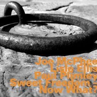 Mendacity - Joe McPhee & Lisle Ellis & Paul Plimley