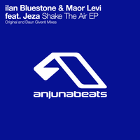 Shake The Air - Ilan Bluestone