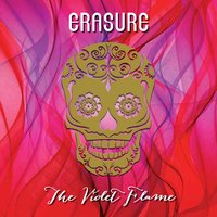Elevation - Erasure