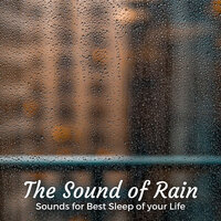 Leading Doze - Rain Sound Studio & Rain and Chill & Rainfall
