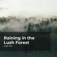 At Ease in the Forest - Nature and Rain & Deep Rain Sampling & Jungle Rain