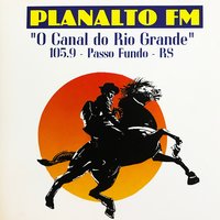 Pé No Estribo - Elton Saldanha