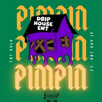 Pimpin - Fat Solo & Dat Boy JP
