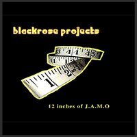 Birdie Dub - Prince Jamo