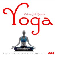 Yoga Class Music - Michael Silverman