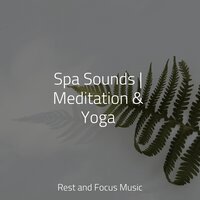 Dragonfly Sunset - Yoga Rain & Relajacion Del Mar & Deep Sleep Music Experience