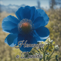 Homenaje a Daniela - Son Andino & Son Paraná