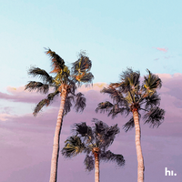 All I Need Is Palms - Mitchell Yard & Xander Clementé & Carabide & himood