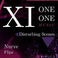Disturbing Scenes - Nurve & Flipz