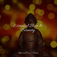 Warming Hugs - Regengeräusche & Massagem Coleção de Músicas & Meditative Music Guru